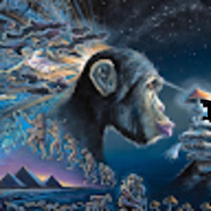 Meet your Posher, Nicholas